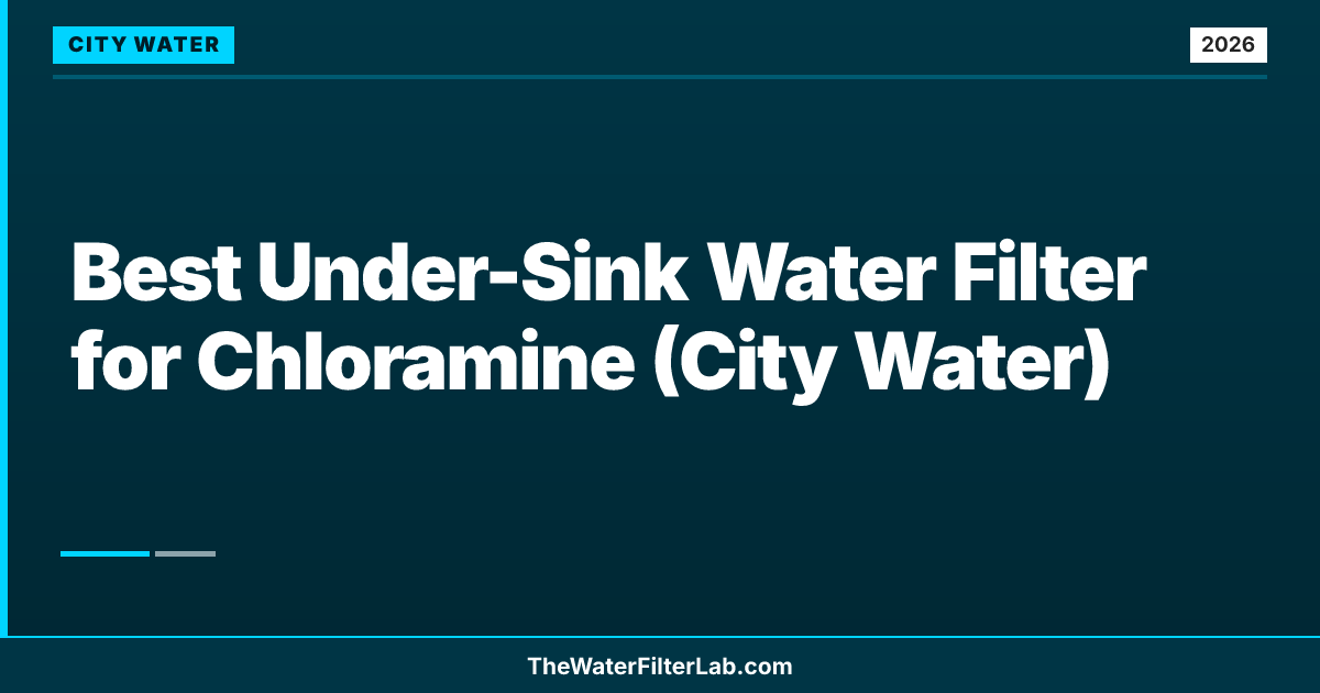 Best Under-Sink Water Filter for Chloramine (City Water)